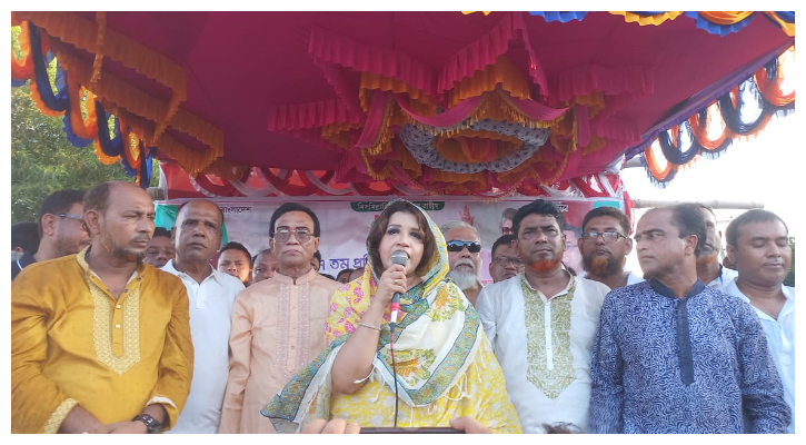 বাংলাদেশে যত উন্নয়ন সব বিএনপির সময় হয়েছে: শামা ওবায়েদ